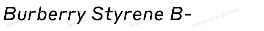 Burberry Styrene B字体转换